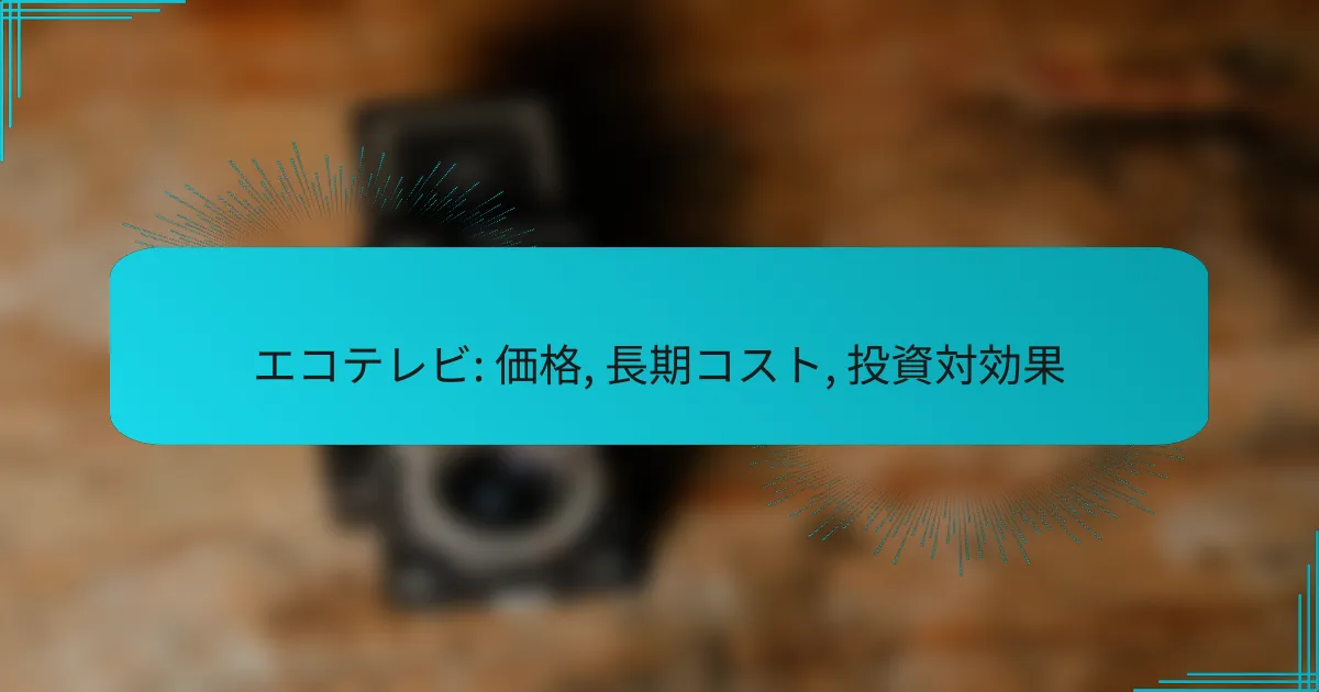 エコテレビ: 価格, 長期コスト, 投資対効果