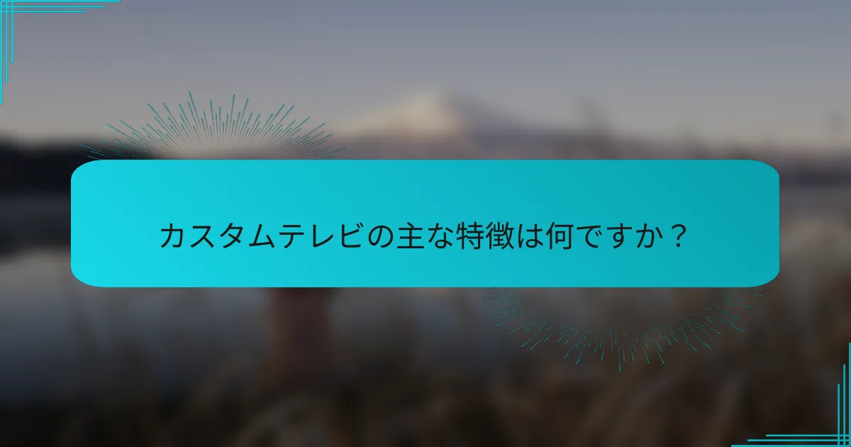 カスタムテレビの主な特徴は何ですか？