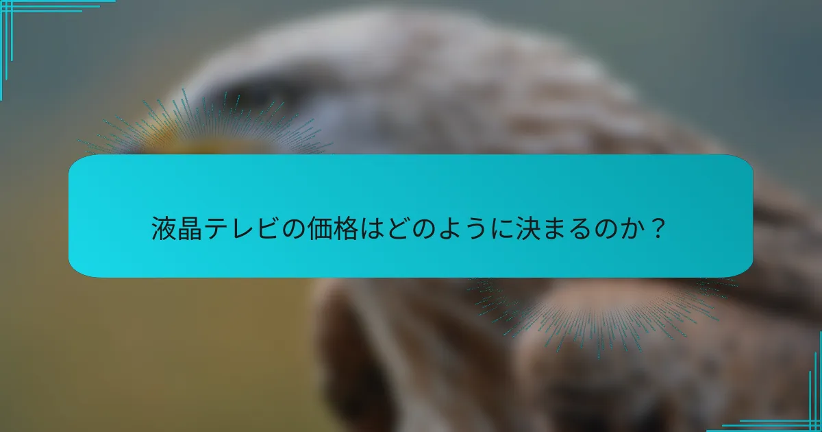 液晶テレビの価格はどのように決まるのか？