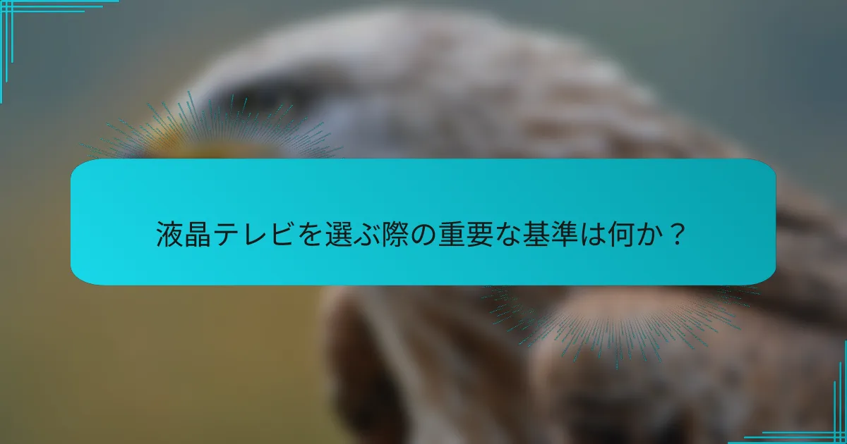 液晶テレビを選ぶ際の重要な基準は何か？